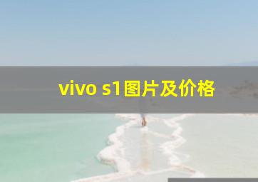 vivo s1图片及价格